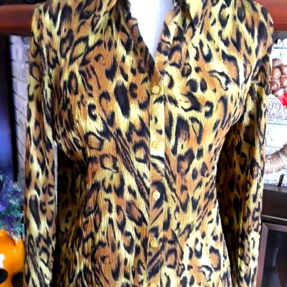 Milano blouse NWOT